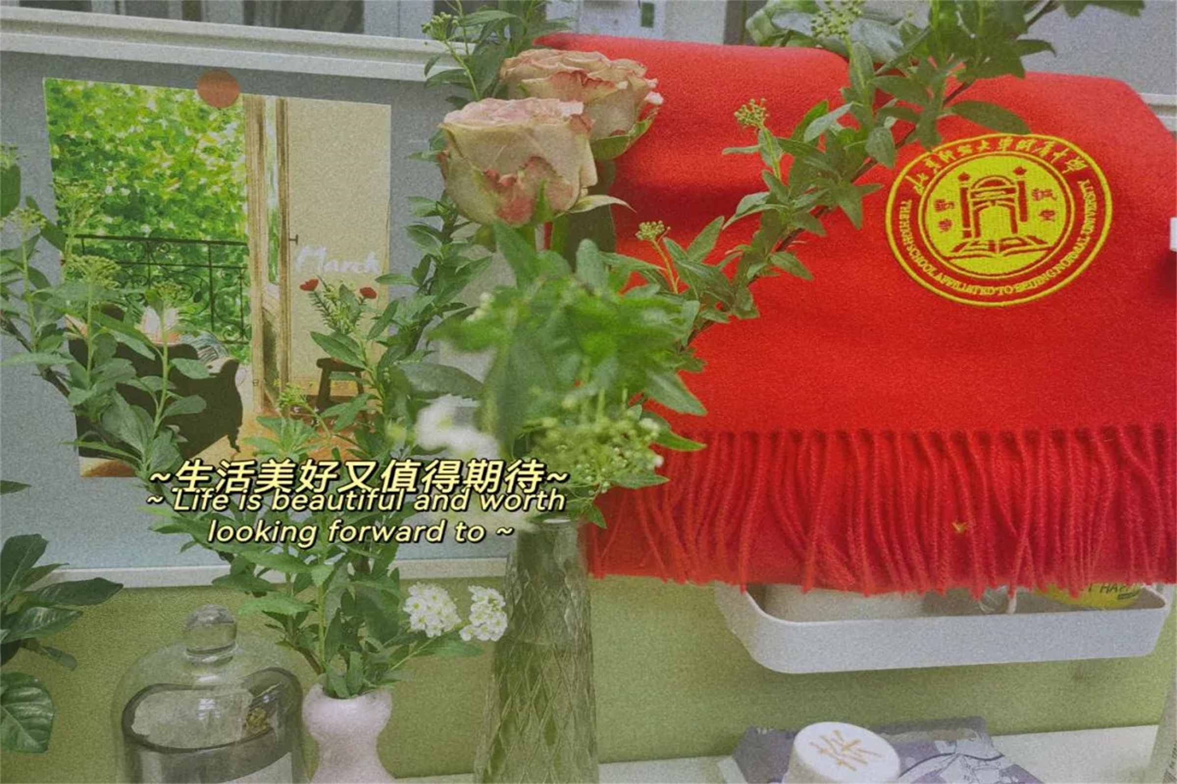 20240311202660.jpg 640.jpg