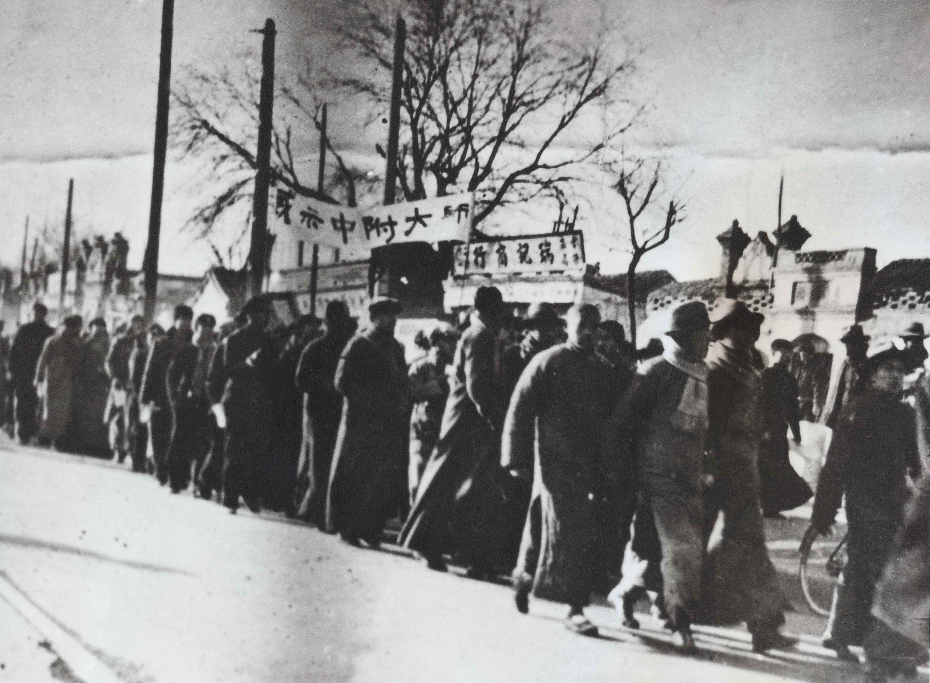 20250909345214.jpg 5.jpg