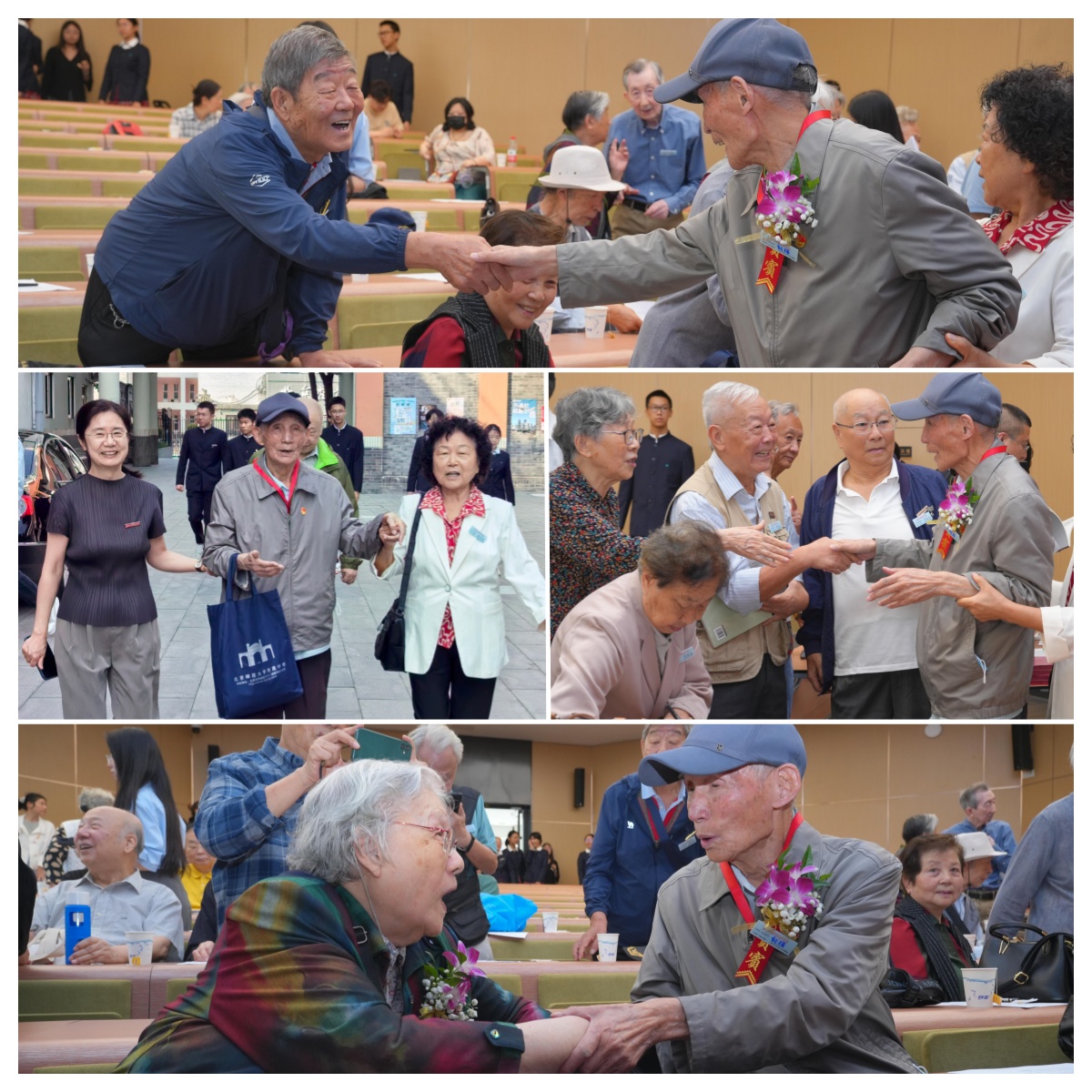 20250927579101.jpg 12.jpg