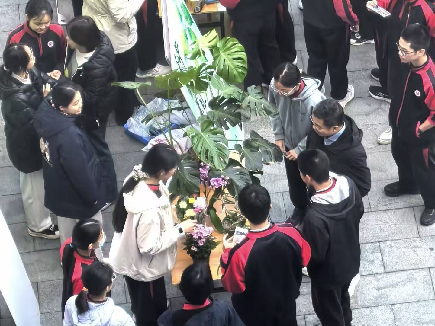 20251104699833.jpg 86e2ccc63f7fc4b30b0b28455997fe03.jpg