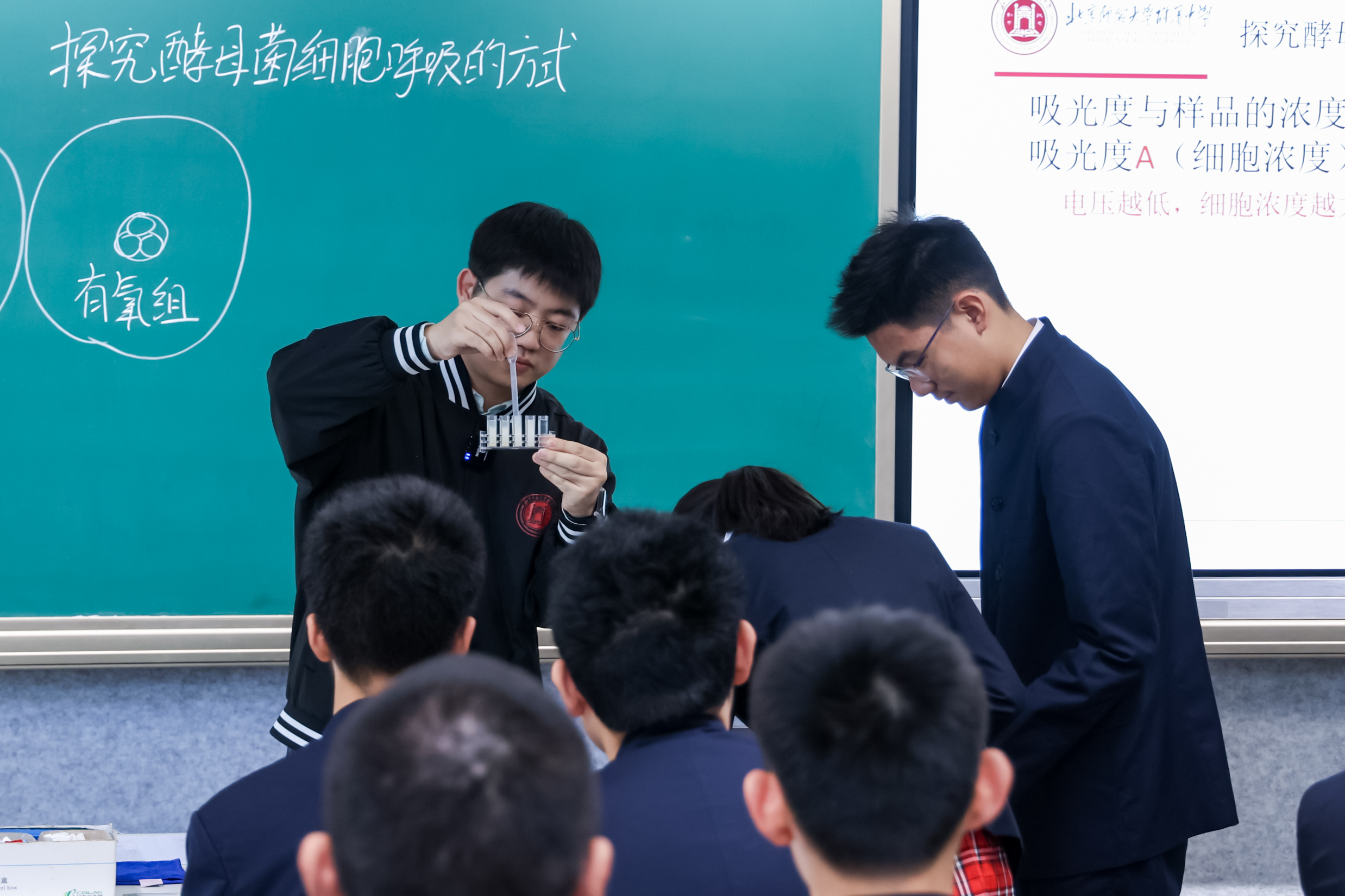 20251208540856.jpg WL071880.jpg