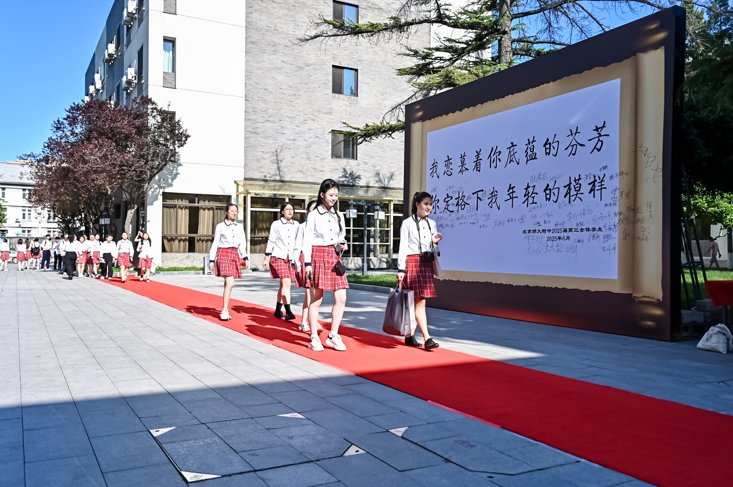 走红毯.jpg